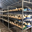 도움농장 이미지