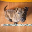 이은성행정사 이미지