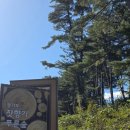 잣향기푸른숲 축령백림관 | [가평] 잣향기푸른숲 - 마음이 맑아지는 힐링 여행기 🌲