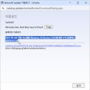 윈도우즈D 이미지