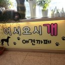 어서오시개 이미지