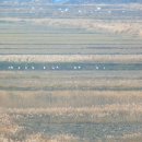 동주 농장 이미지