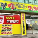 우리소9900
