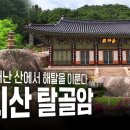 탈골암