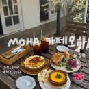 옥이랑꽃이랑 | 김해(장유,율하)-‘카페모하’ 숨은 브런치맛집, 꽃 구경 (내돈내산,솔직후기)+소품