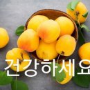 독일인이 낸 치매 예방문제 이미지