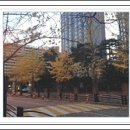 개포3-109 이미지