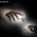만평 이미지