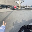 (주)뉴가나다 김포영업소 | 2025 여행 - 상해(상해 여행 총정리/상하이 디즈니랜드 어트랙션 꿀팁/상하이 여행 기념품 티엔즈팡...