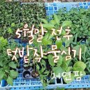 미소육묘장