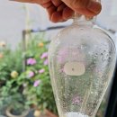 천연비누&천연화장품 이미지