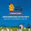 역사책 다시 읽기 이미지