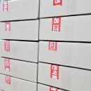 새꽃시루 이미지