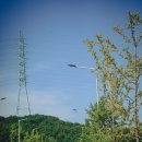 GS25대부바다점 이미지