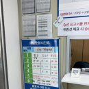 거제 장사도유람선 예약 후기｜장사도 해상공원, 거제 가볼만한곳 추천