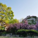 주공8단지 이미지