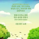 대한행정사합동사무소 | [행정사사무소 동행] 102. 외국인 근로자 불법고용 단속 적발 시 범칙금 감경 및 대응 실무