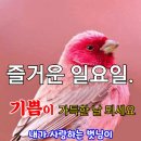 ★ 구시화문(口是禍門) ★ 이미지