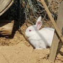 화천농장 이미지