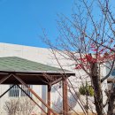 천지목욕탕 이미지