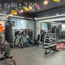 봄날의 헬스클럽 이미지