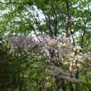 샘재로 4 이미지