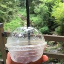 카페씨앤디마운틴 이미지