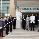 인삼약초로 이미지