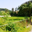 원주토지공인중개사사무소 이미지