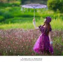 천년의 정원 이미지