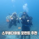 스킨스쿠버, 스킨다이빙(화) | 세부 다이빙샵 스킨스쿠버 체험 복장 포인트 위치 내돈내산 후기