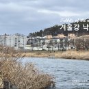 겨울강 낙수(落穗) Tidbits of the winter river 이미지