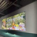 샤브올데이 맛있게 먹는법 광주 진월점 방문