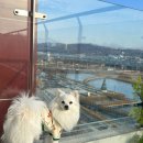 은계유치원 이미지