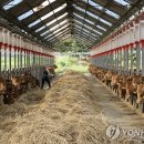 백석리 주민쉼터 이미지