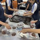 이사벨중학교 이미지