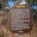 구룡포 미암산-응암산-말목장성산행( 한백산악회) 이미지