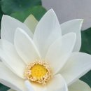 (주)담운
