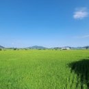 강화길공인중개사사무소 이미지