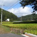 대전2리 마을회관 이미지