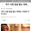 개가 사람얼굴을 핥는이유 이미지