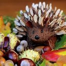 햇살마루도서관 이미지