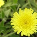 개금2동-7 이미지