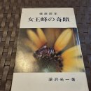 1963년 초판, 1978년 8판 발행 "여왕벌의 기적" 이미지
