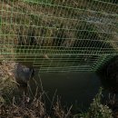 유진 태양광발전소 이미지