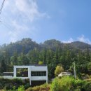 수한예감정리 이미지