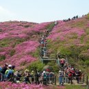 [지리산 60] 정령치-세걸산-팔랑치-바래봉-운봉 이미지