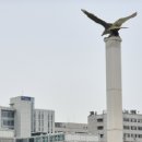 제일투자컨설팅 | 입시컨설팅 비용, 솔직하게 적는 후기