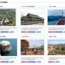 테마건강랜드 이미지