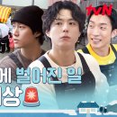 자연보검 이미지